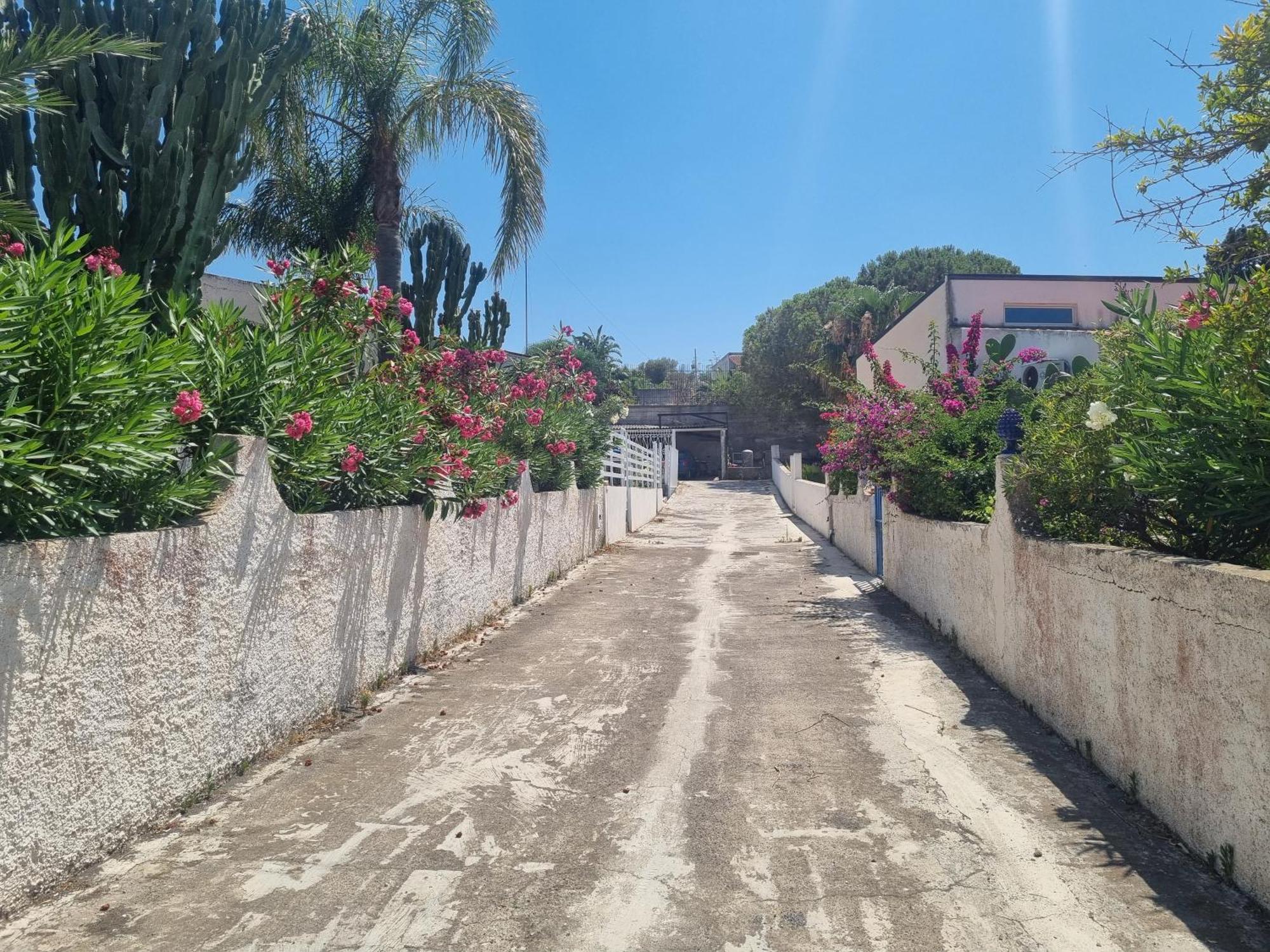 Omarvulcano1 - Proppro - Isole Eolie *