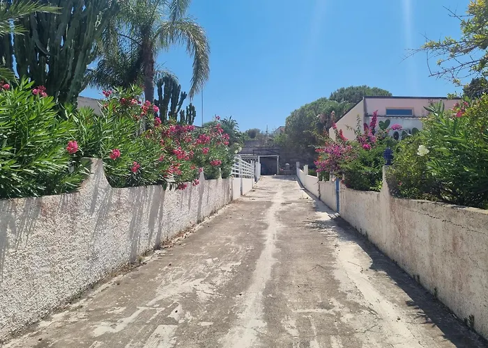 Omarvulcano1 - Proppro - Isole Eolie